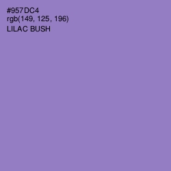 #957DC4 - Lilac Bush Color Image